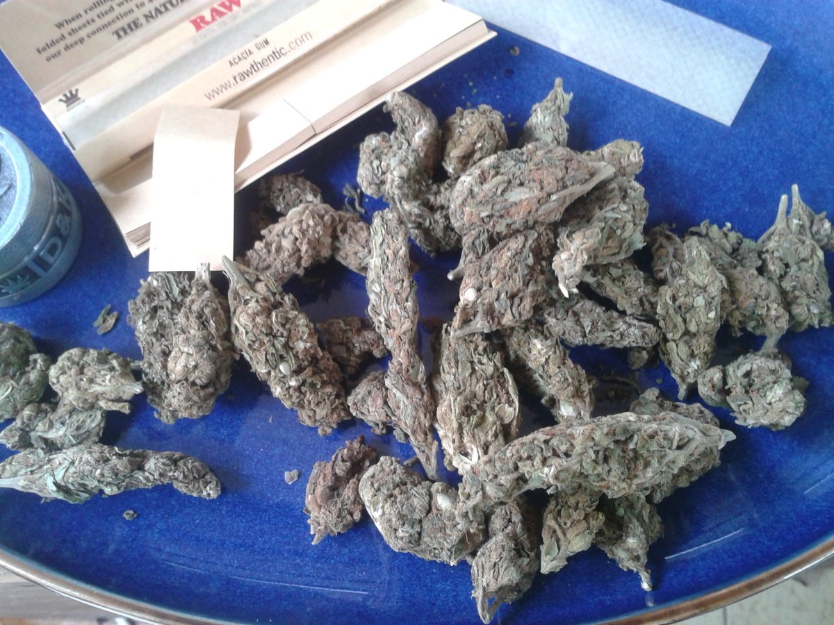 <a href="/Sbudakush420/">PMF</a>  I roll joints for a living please support me!!! @pretyMatherFlowers on Instagram DM FOR MORE INFO.<a href="/Ras_Pompe/">Don Rasta™🇿🇦</a> <a href="/Sparzito_/">Zito 🐐💨🎖️</a>   Have the best strains in South Africa that I can roll#rollingpapers #cannabis #weed #cannabiscommunity #smokeshop #rawlife #smoke