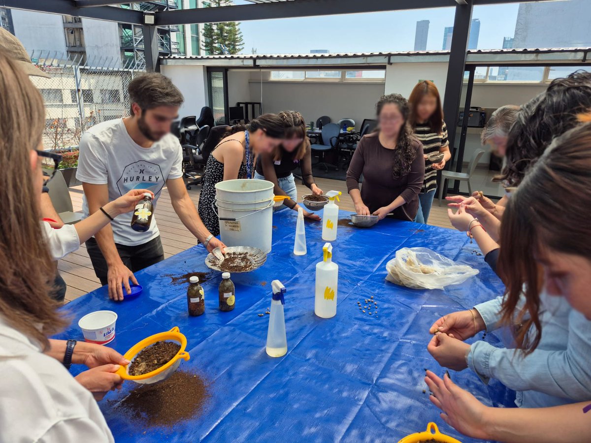 Freyssinet de México tweet media