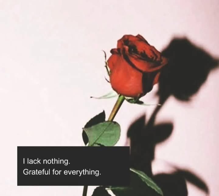 maximumpain333's tweet image. 