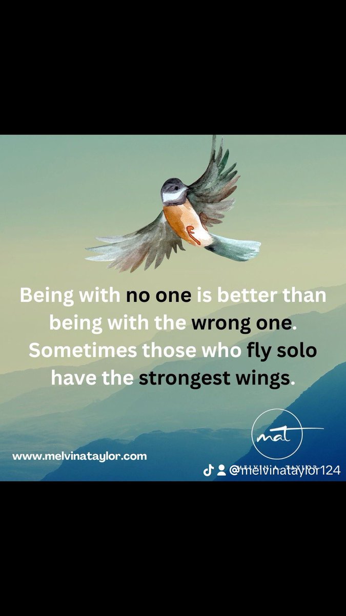 MelvinATaylor's tweet photo. Sometimes the greatest flights in history have been solo. Never forget your power and always remember who you are.  🕊️ 🕊️ https://t.co/Wq4Jym4gXL