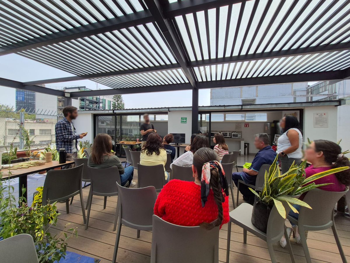 Freyssinet de México tweet media