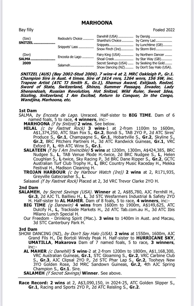 Emirates Park (@emiratespark) on Twitter photo ⚪️🟢Marhoona (Snitzel x Salma) ⚪️🟢
As a foal to the 2025 Golden Slipper winner. Quality stands out.
The Lootah family has nurtured this family and made this part of the best in show family their own.
<a href="/tabcomau/">TAB</a> <a href="/aus_turf_club/">Australian Turf Club</a> <a href="/7horseracing/">7HorseRacing 🐎</a> <a href="/BreednetNews/">Breednet</a> <a href="/MFreedmanRacing/">Michael Freedman Racing</a> ⚪️🟢Marhoona (Snitzel x Salma) ⚪️🟢
As a foal to the 2025 Golden Slipper winner. Quality stands out.
The Lootah family has nurtured this family and made this part of the best in show family their own.
<a href="/tabcomau/">TAB</a> <a href="/aus_turf_club/">Australian Turf Club</a> <a href="/7horseracing/">7HorseRacing 🐎</a> <a href="/BreednetNews/">Breednet</a> <a href="/MFreedmanRacing/">Michael Freedman Racing</a>