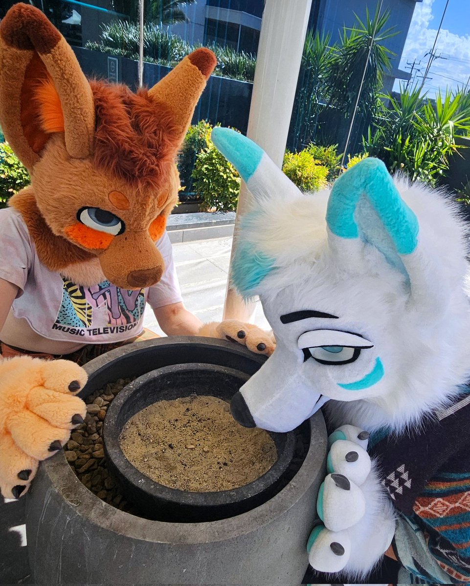 OH GOD! They found the forbidden ash tray 😞 

Feat. <a href="/Fiddles_/">Fiddles</a> / <a href="/BunHoneycomb/">Honeycomb 🍯 🐰</a>