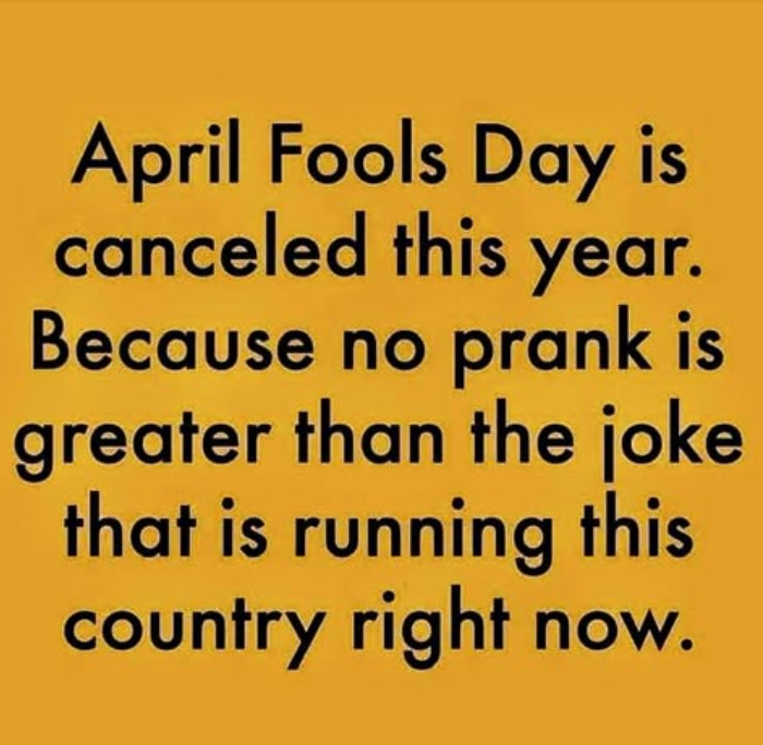 diane mckenzie (@dianemc34717099) on Twitter photo 