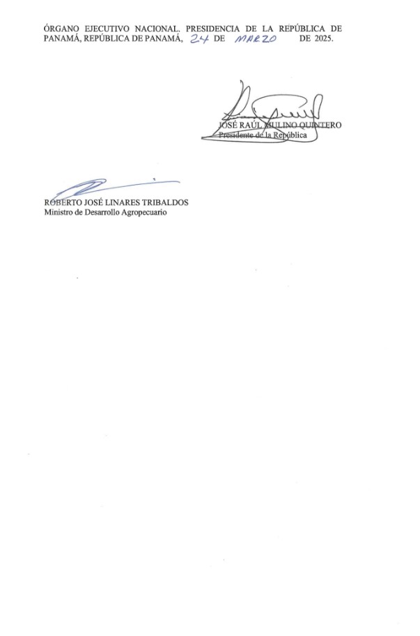 El presidente <a href="/JoseRaulMulino/">José Raúl Mulino</a> sancionó este lunes la Ley 464 que regula la producción, comercialización y exportación del cáñamo en la República de Panamá.

Se establecen las competencias de cada ministerio en la aplicación de esta ley. Intervienen: el Ministerio de Desarrollo