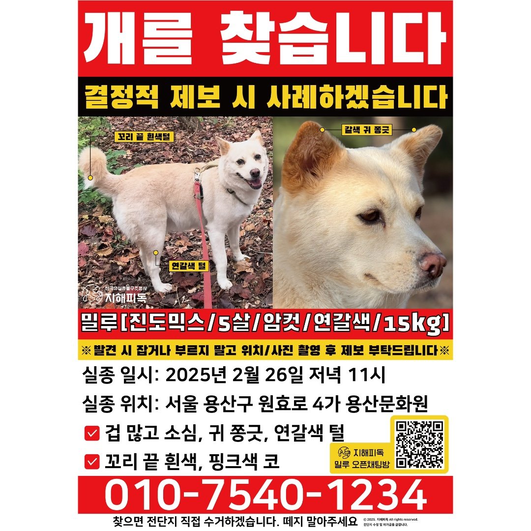 순미맘 tweet media