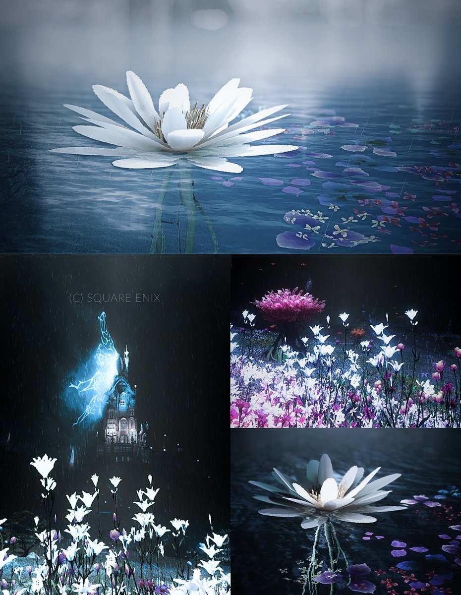 パッチノートもPLLも見てないし
ストーリー道半ばで黄砂きてるけど
7.2楽しみです
#メンテだしとにかくあなたのssが好きって思ってくれるひとと出逢うために自分の推しssをそっと置いておく