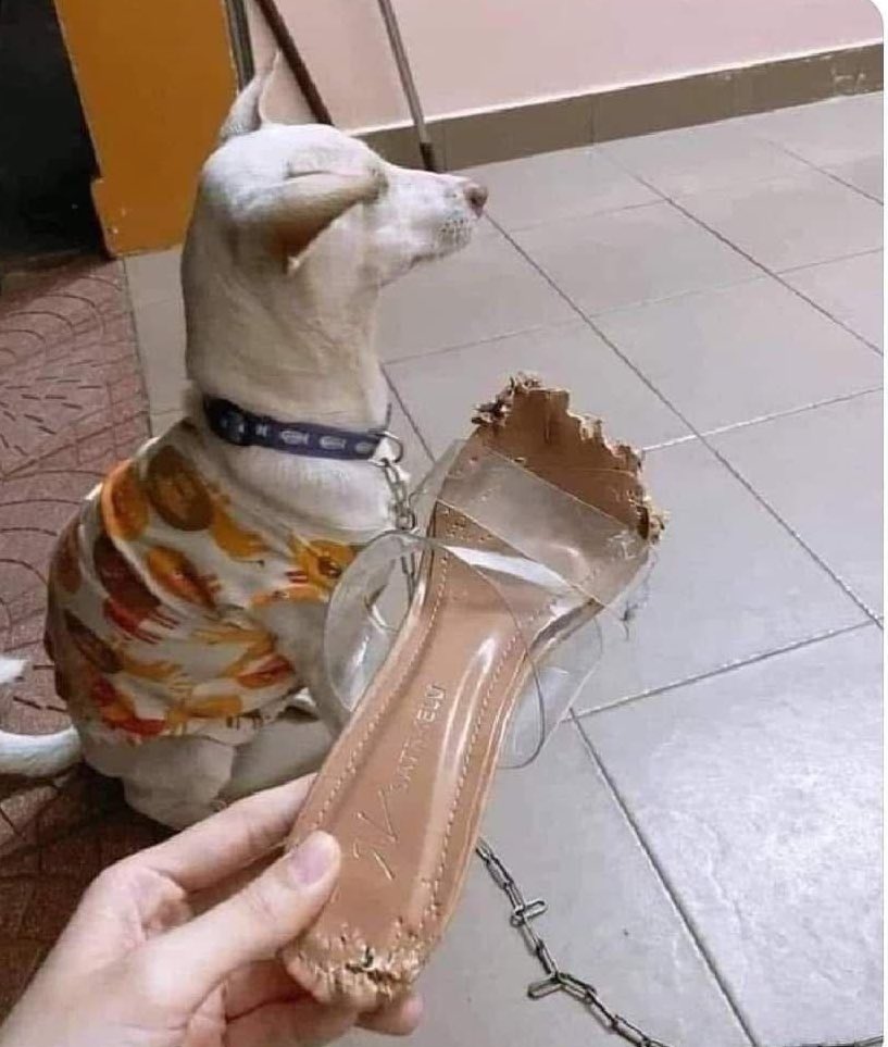 No diré nada al respecto, hasta que mi abogado esté presente.