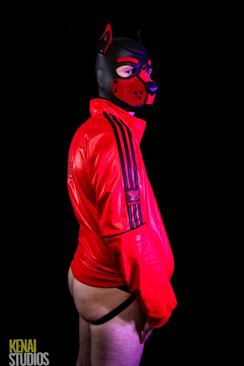 kenai_studios's tweet photo. Cute and cuddly? Or dom supreme? Who would you choose ? @N_4_Neo
#scallydom #scally #scallypup #gaypup #cyberpup #redpup #humanpup #pupplay #pupplaycommunity #gaybdsm #scallylad #gaypupplay #humanpupplay #k9hood https://t.co/g0NtBqIUgh
