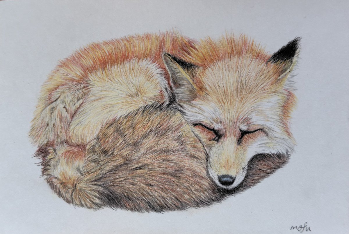 もふ/色鉛筆画 (@mofu_iroenpitu) / Posts / X