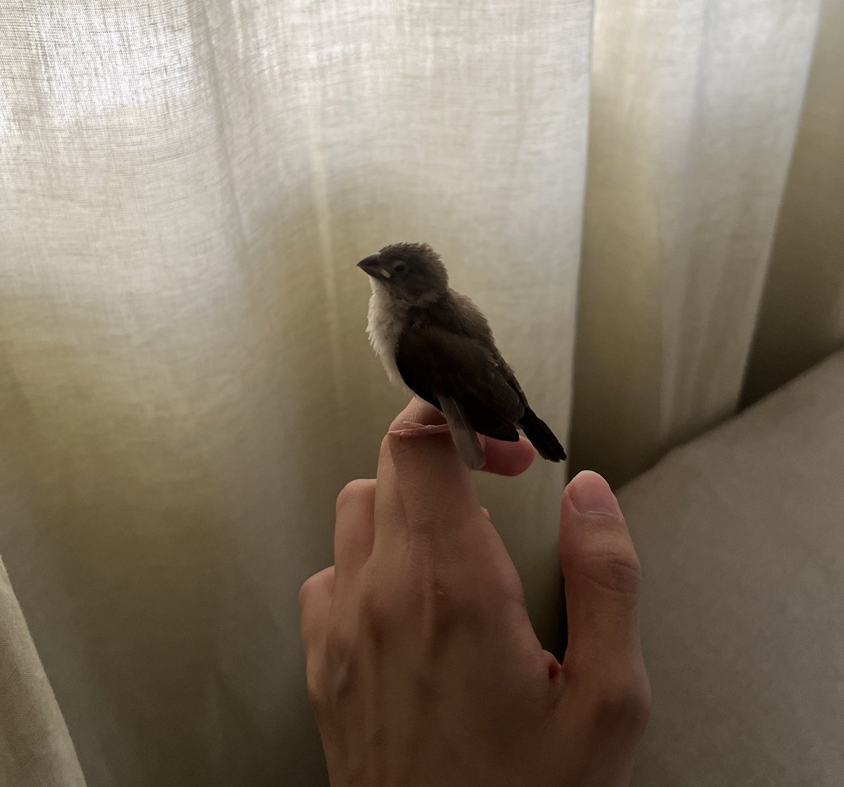 __tothehell's tweet image. 