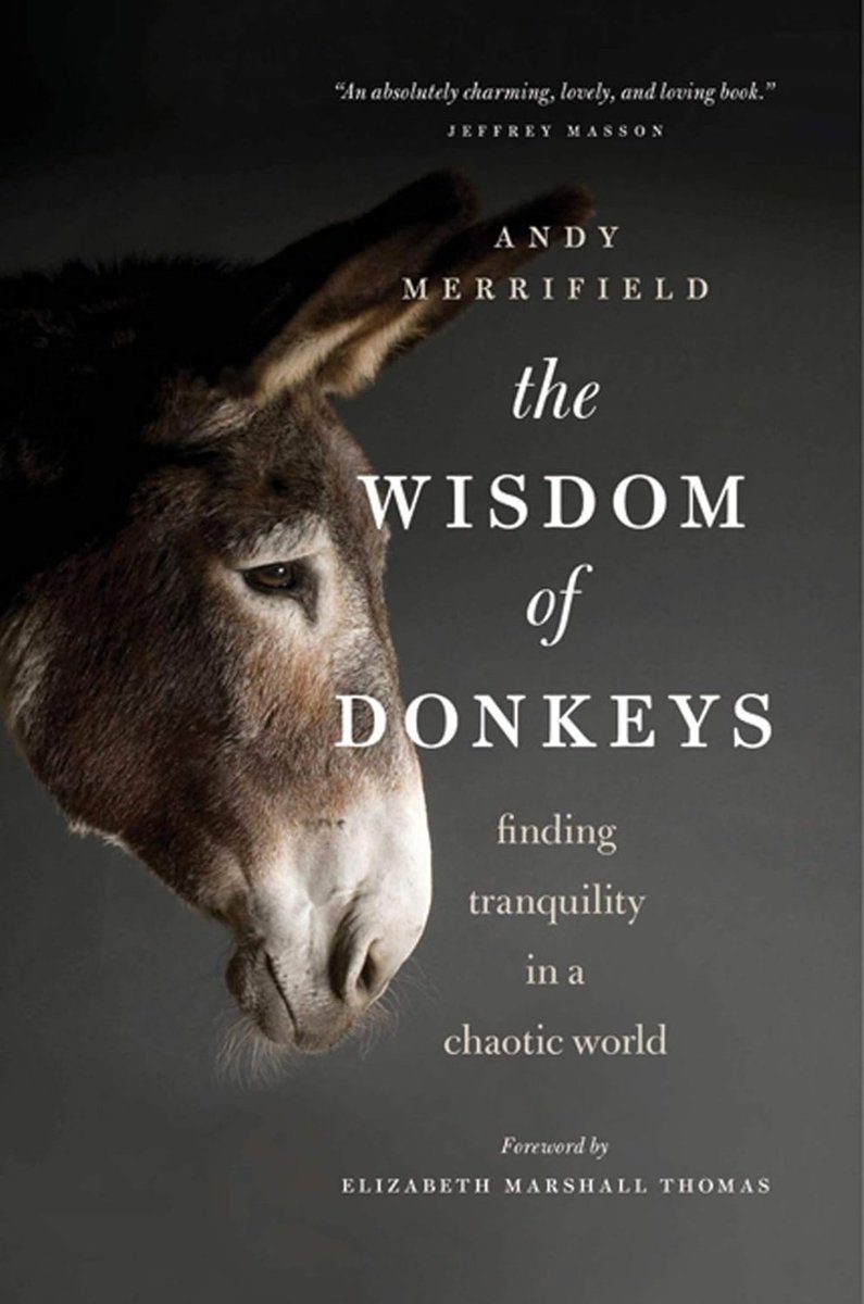 DataDonkeyX's tweet image. 📔🫏 Me, seeing The Wisdom of Donkeys on the shelf:

Finally — a book that gets it.

🐌 Move slow
🤐 Say less
🌪️ Outlast the chaos

Not lazy. Just not playing your game.

#DataDonkey #SayLessDoMore #SlowAndCertain #TranquilNotTame #BuiltDifferent