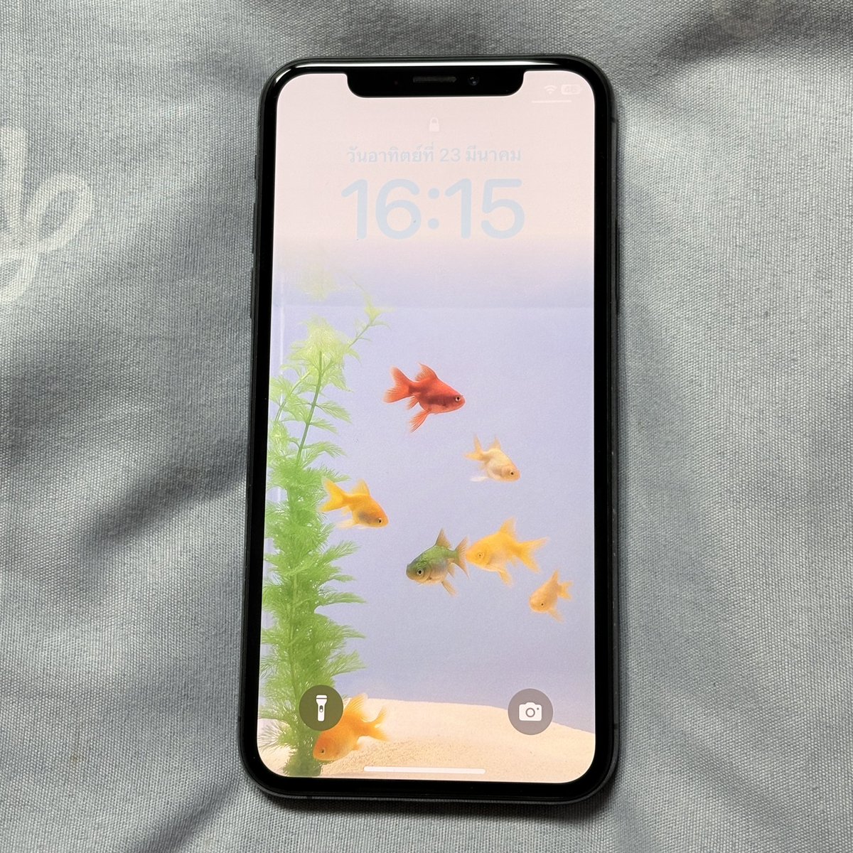 𝓝.⁺◟✿ tweet media