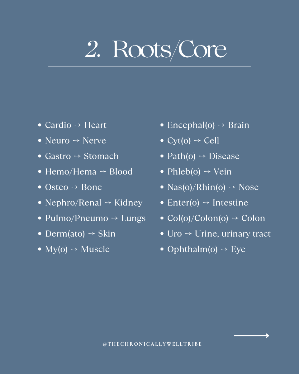 TCWtribe's tweet photo. A crash course in medical terminology. 

One of the most valuable tools a patient &amp; their loved ones can have is the ability to understand basic medical jargon. 

#medicalterminology #navigatingthemedicalsystem 
#healthandwellness #truehealth https://t.co/LEUbhr1qoy
