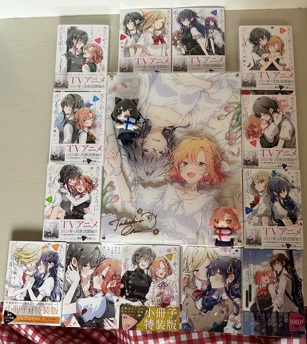 竹嶋えく先生の直筆サイン付きのレイヤードグラフが届きました。見れて