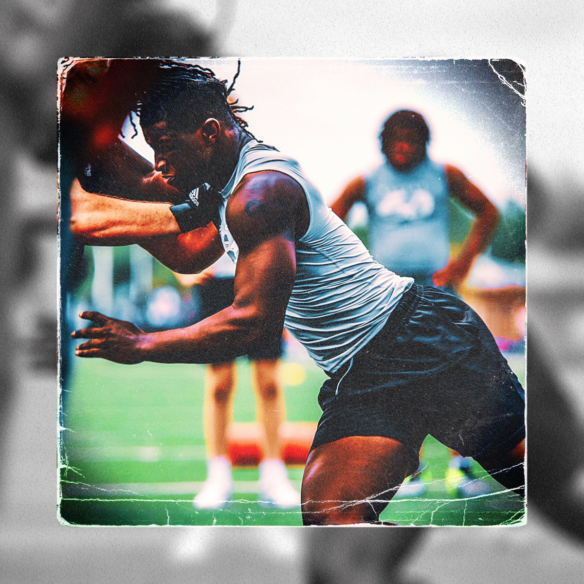 Select 50 Showcases tweet media