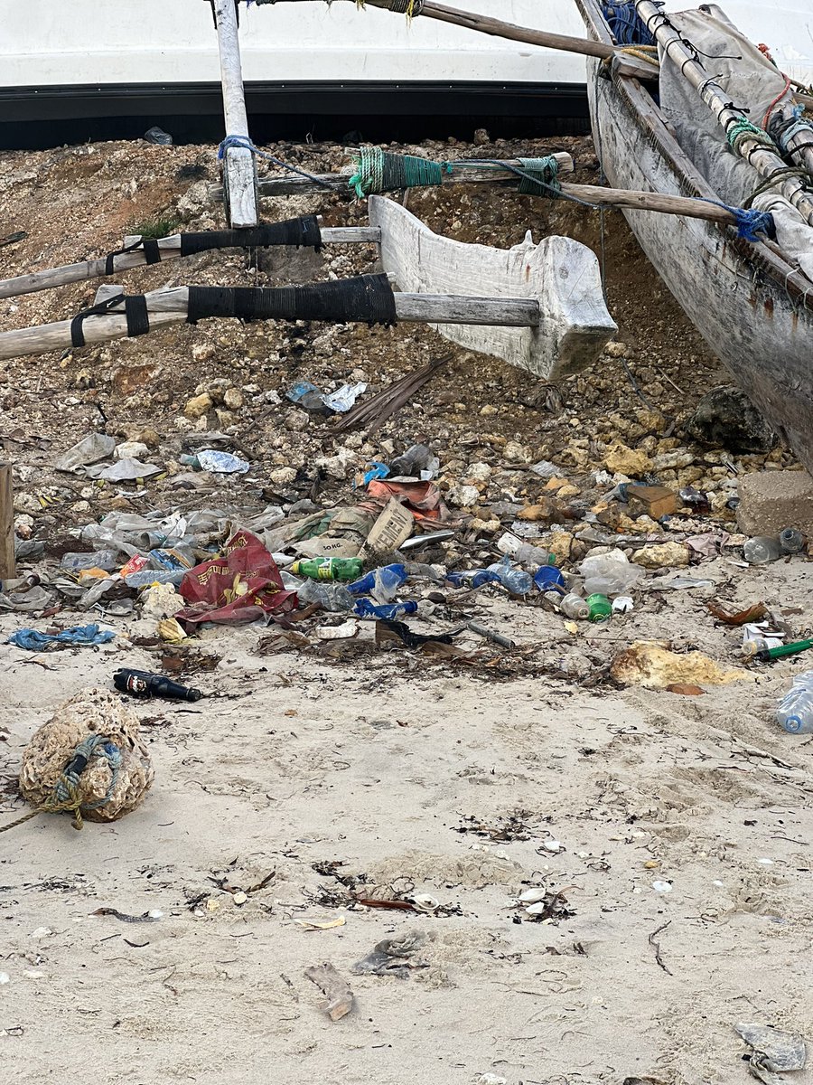 Katika msimu wa tatu wa safari yetu kwenye fukwe za Mazizini Zanzibar,

<a href="/globalimpactt/">Global Impact Transformation</a> <a href="/Thamini_jamii/">Thamini Jamii Organization</a> tunaendelea kuhamasisha  umuhimu wa kulinda na kuthamini mazingira ya asili kwa wenyeji wa Zanzibar. 

Kwa pamoja, tunaendelea na  juhudi za kuhifadhi mazingira, na umuhimu wa