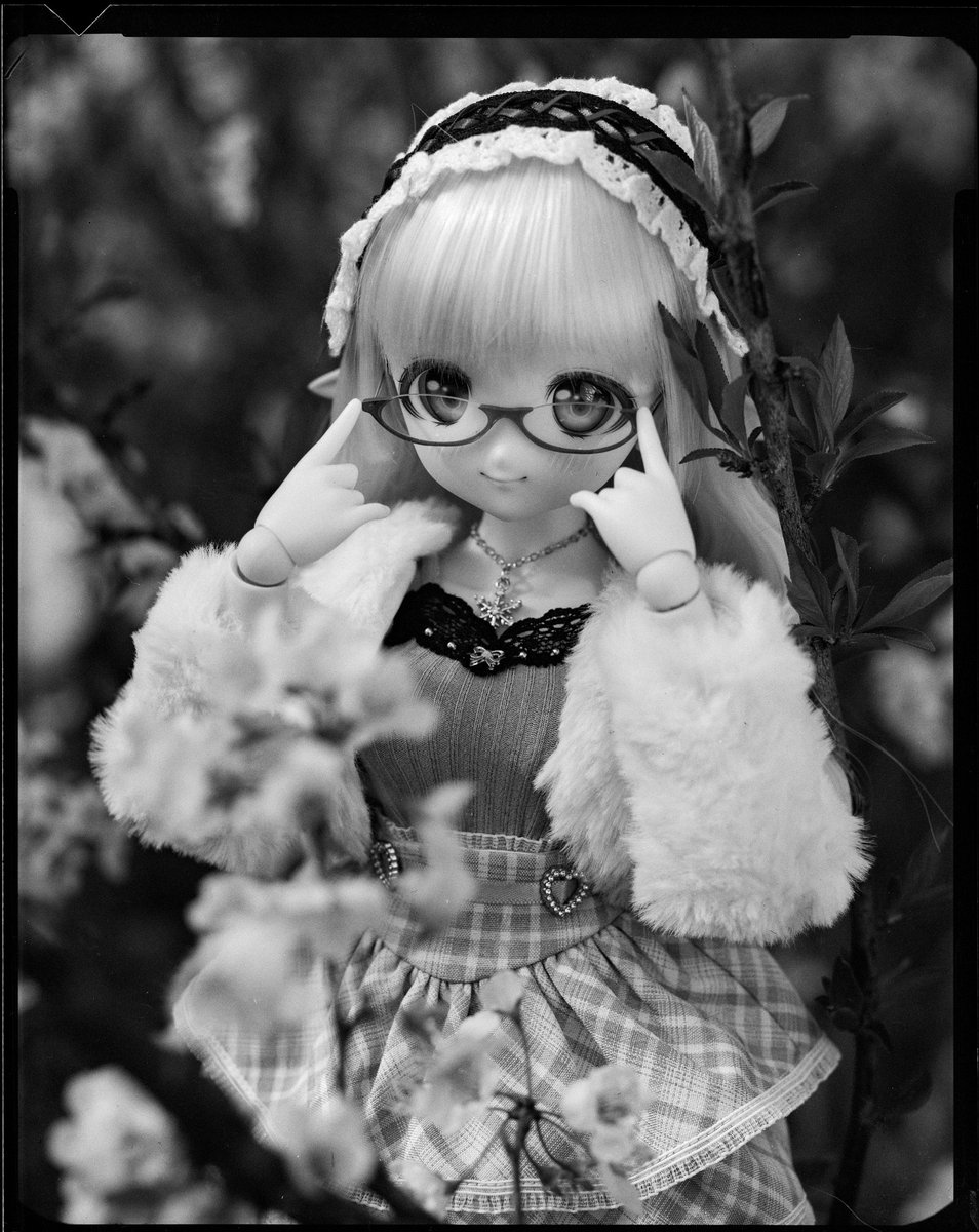 moekooli's tweet photo. #MDDはいいぞ 
#うちのこかわいい https://t.co/MMbjj8l5uK