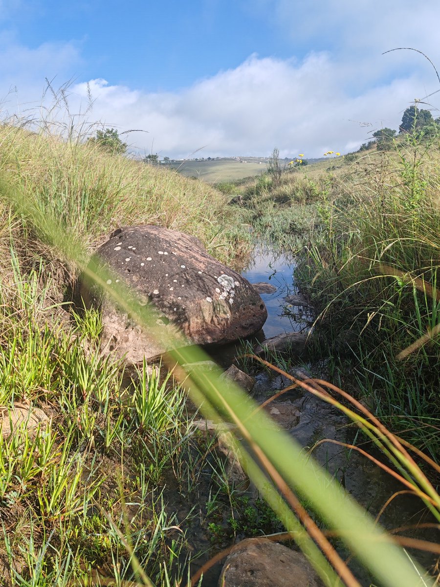 Inkosi YamaHayise (@djolium) on Twitter photo 