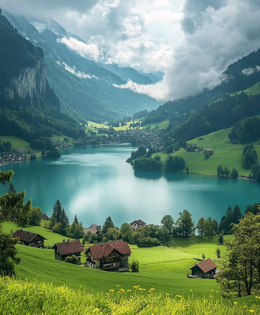 Naturelife807's tweet photo. Feel with Nature 💚🌿🍀🌷 https://t.co/uZTRQs0nzg