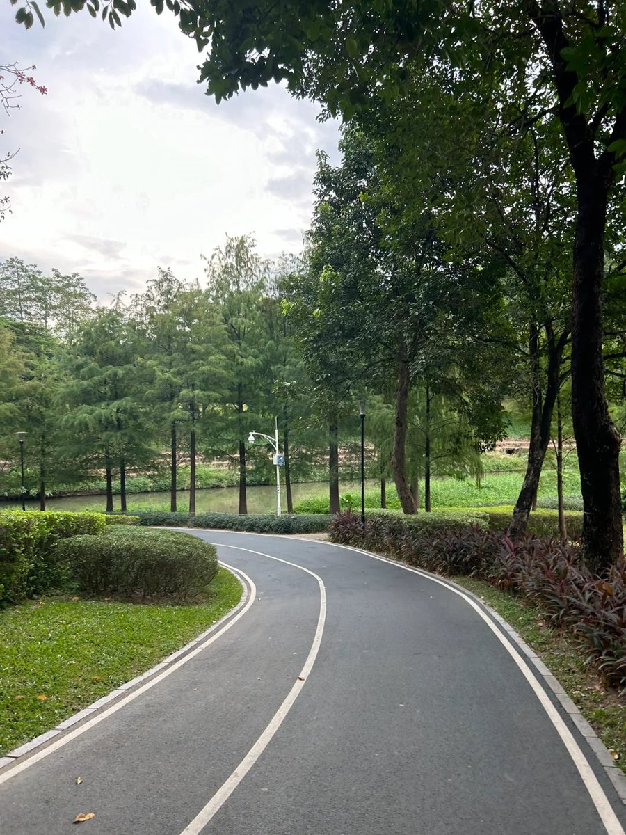 Cookctkisxns's tweet image. 跑過的路，終將成爲你的力量。