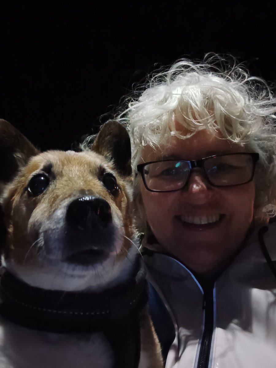 Day 83 of #100daysofwalking. Interesting webinar called CODA Fireside Chat hosted by <a href="/cisli_ireland/">CISLI</a> .  <a href="/Cat_1964/">Catherine White (name sign Shaky Shaky Capital C)</a> shared her life experience as a hearing child of Deaf parents. It was lovely seeing CODAs from different countries in the webinar. Gizmo was happily walking with me.