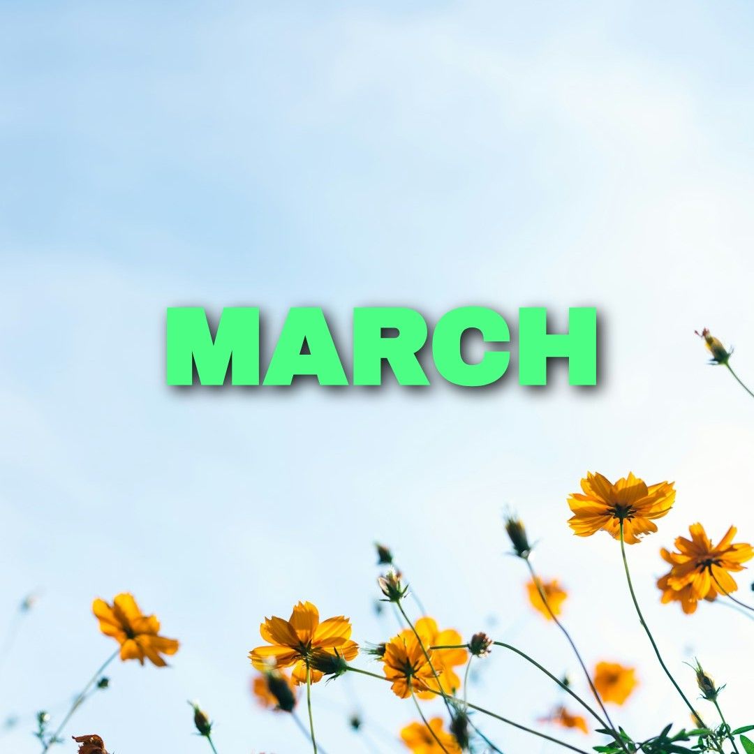 _EmberFlint's tweet image. 🌷 Romance Subgenre of the Month! 🌷
MARCH
Which subgenre is calling your name this March?

A) Contemporary Romance ☕💻
B) Science Fiction Romance 👽✨
C) Paranormal Romance 🦇🔥

 Let me know your monthly pick in the comments! 💬

#RomanceReads #RomanceSubgenres #ReadersPoll