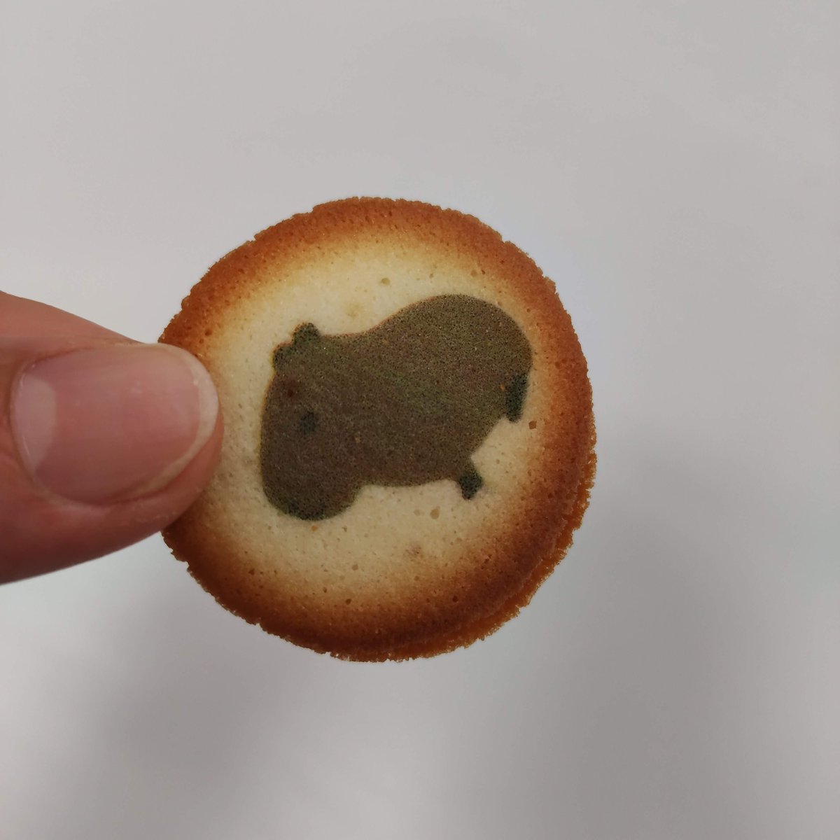 東京出張していたスタッフのお土産
川崎の水族館のクッキー？

カピバラさんがかわいいですね

#企業公式相互フォロー
#企業公式春のフォロー祭り