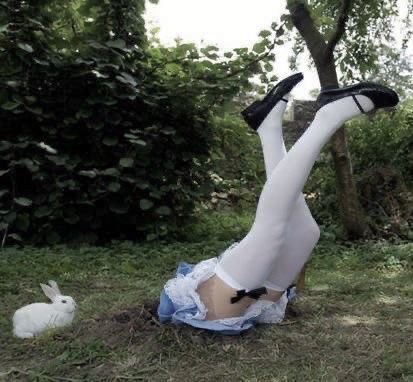 gflinosaurus's tweet photo. ––––   rabbit hole † https://t.co/VgodzqlZn1