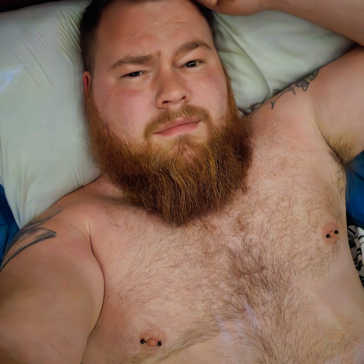 MAC81797909's tweet photo. @bearflix @BearFlix2 @BearFlix3 @herculesclub1 @BrunoxTheBear @TheBlowers https://t.co/8cLmkjtPwi