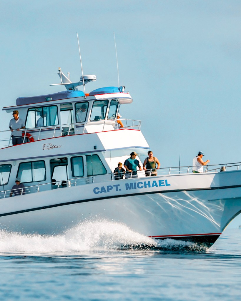 The Captain Michael Fishing Party Boat – Perfect for groups and unforgettable fun on the water! 🚤🎉

#robbies #floridakeys #islamorada #snorkel #adventure #lighthouse #fishing
