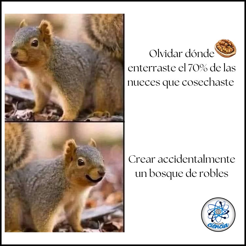 Enséñame de Ciencia tweet media