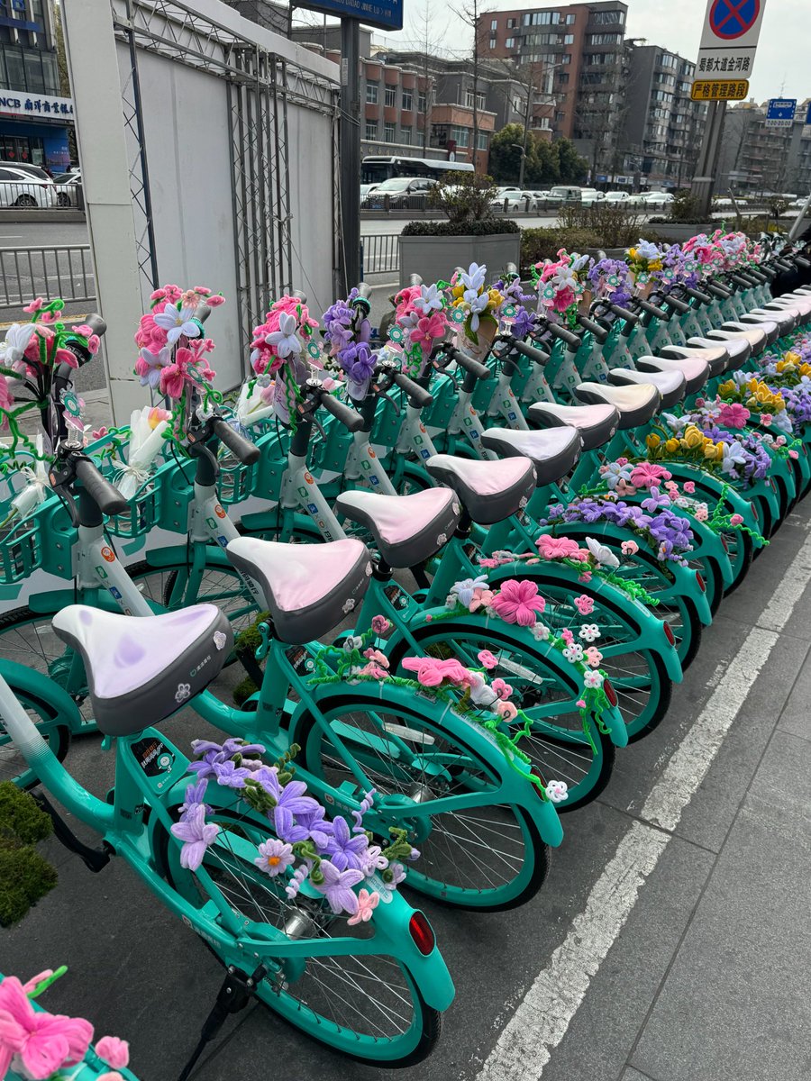 成都这个！！
共享单车太超前了！！！而且我询问了工作人员说一会儿可以骑走！！！好浪漫！！
#少女心 #成都 #旅行