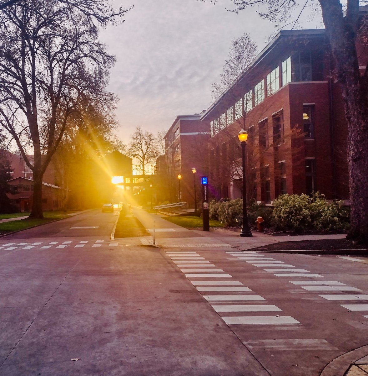 .@ProfHendrix photographed this literal ray of spring equinox light shining through the skybridge connecting Cordley Hall and the Agriculture &amp; Life Sciences Building. It’s a phenomenon he’s dubbed “BeaverHenge” because it only happens during the equinox. 🦫✨ 

Happy spring!