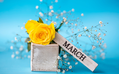 ePlatform Digital Libraries (UK) tweet media