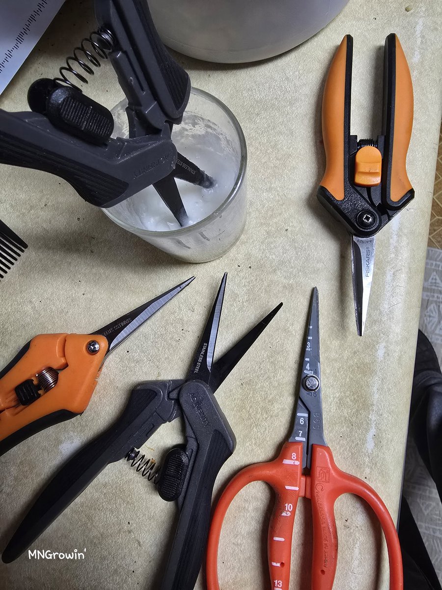 So I was always using Iso and a little elbow grease to clean my trimmers until Rasta Jeff said something about coconut oil on one of his podcasts. 🤯 Why the heck did no one tell me this earlier!  The sticky comes right off! I will forever be using this to clean my trimmers.👊💚