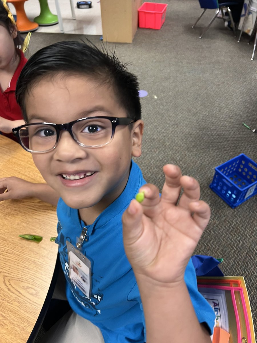 Exploring plant structures <a href="/PetroskyPirates/">Petrosky Elementary</a> <a href="/EduSmartScience/">EduSmart</a> we found a leaf, stem, flower, roots and seeds. We also discussed plants do not come from <a href="/HEB/">H-E-B</a>. They are grown and harvested, then we purchase them from <a href="/HEB/">H-E-B</a>. They had a good time.