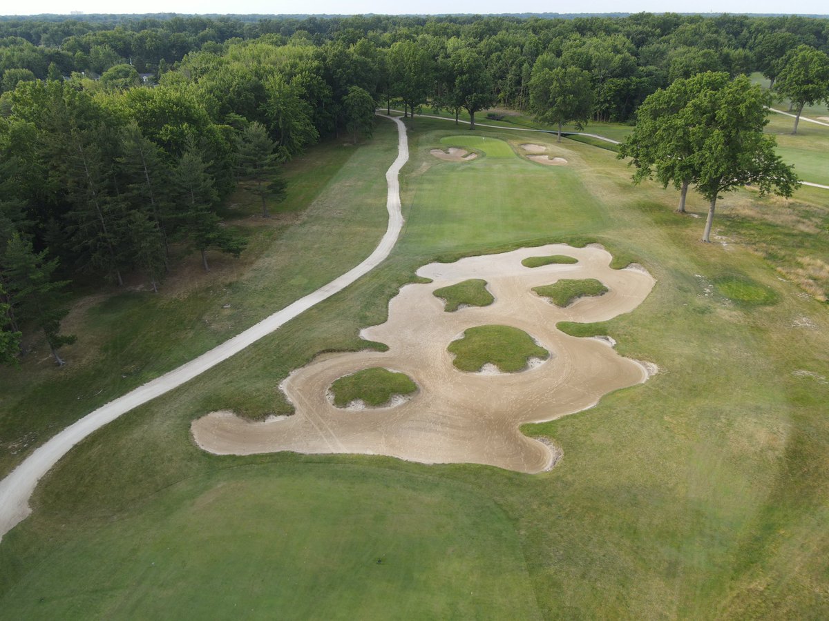 Joe Arnold tweet media