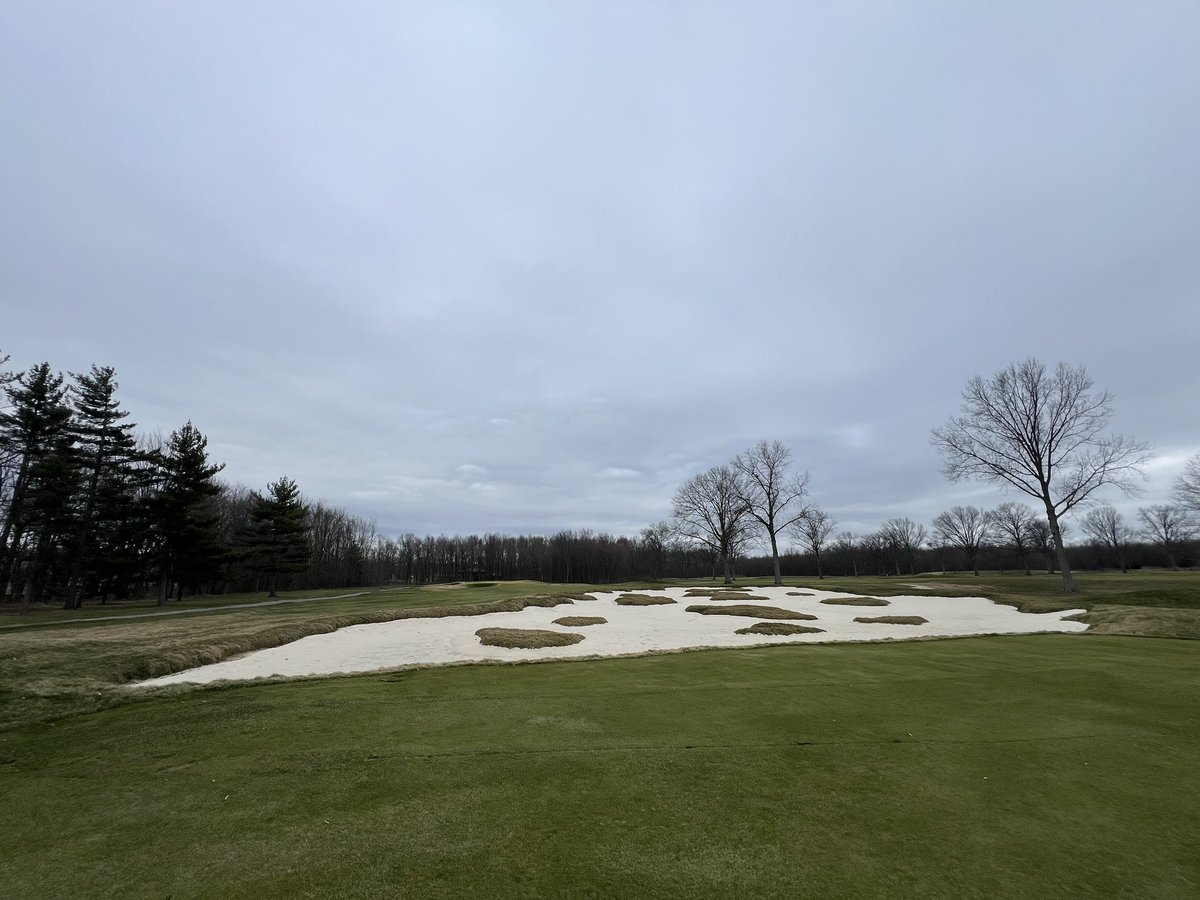 Joe Arnold tweet media