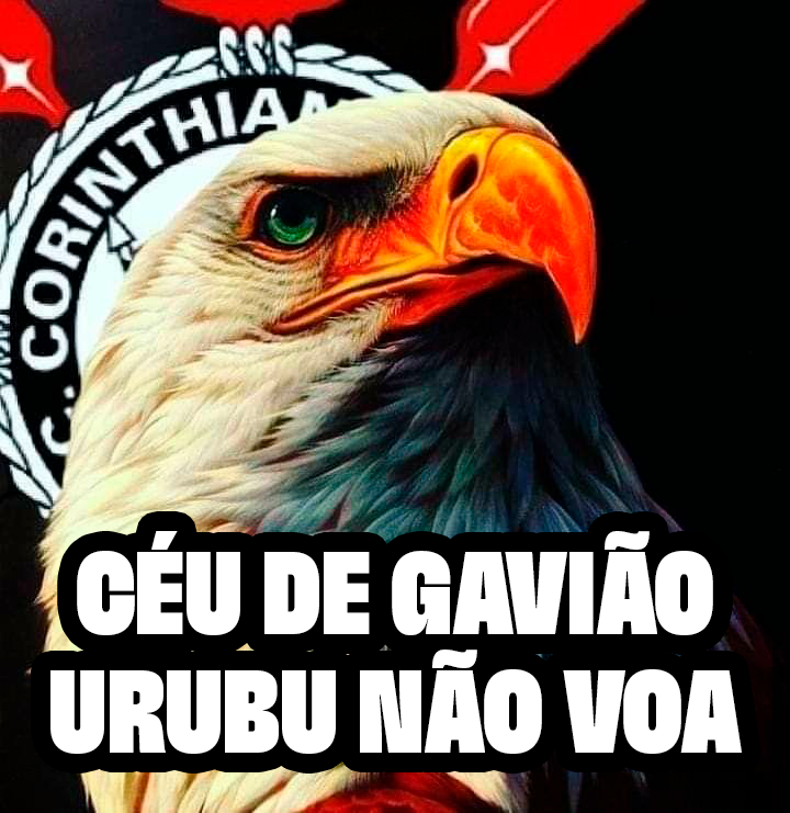 Alô <a href="/LTASul/">LTA Sul</a>, avisa que o <a href="/flaesports/">Flamengo Esports</a> não teve chance. 2x0 pro Time do Povo no Circuito Desafiante.

VAI CORINTHIANS! 🦅