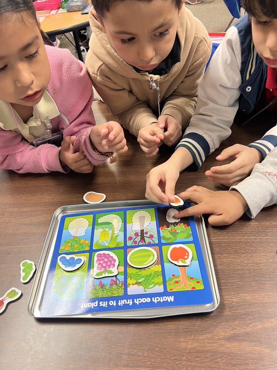 More from exploring plant structures. We even pulled out our magnetic science game from <a href="/LakeshoreLM/">Lakeshore Learning</a>.