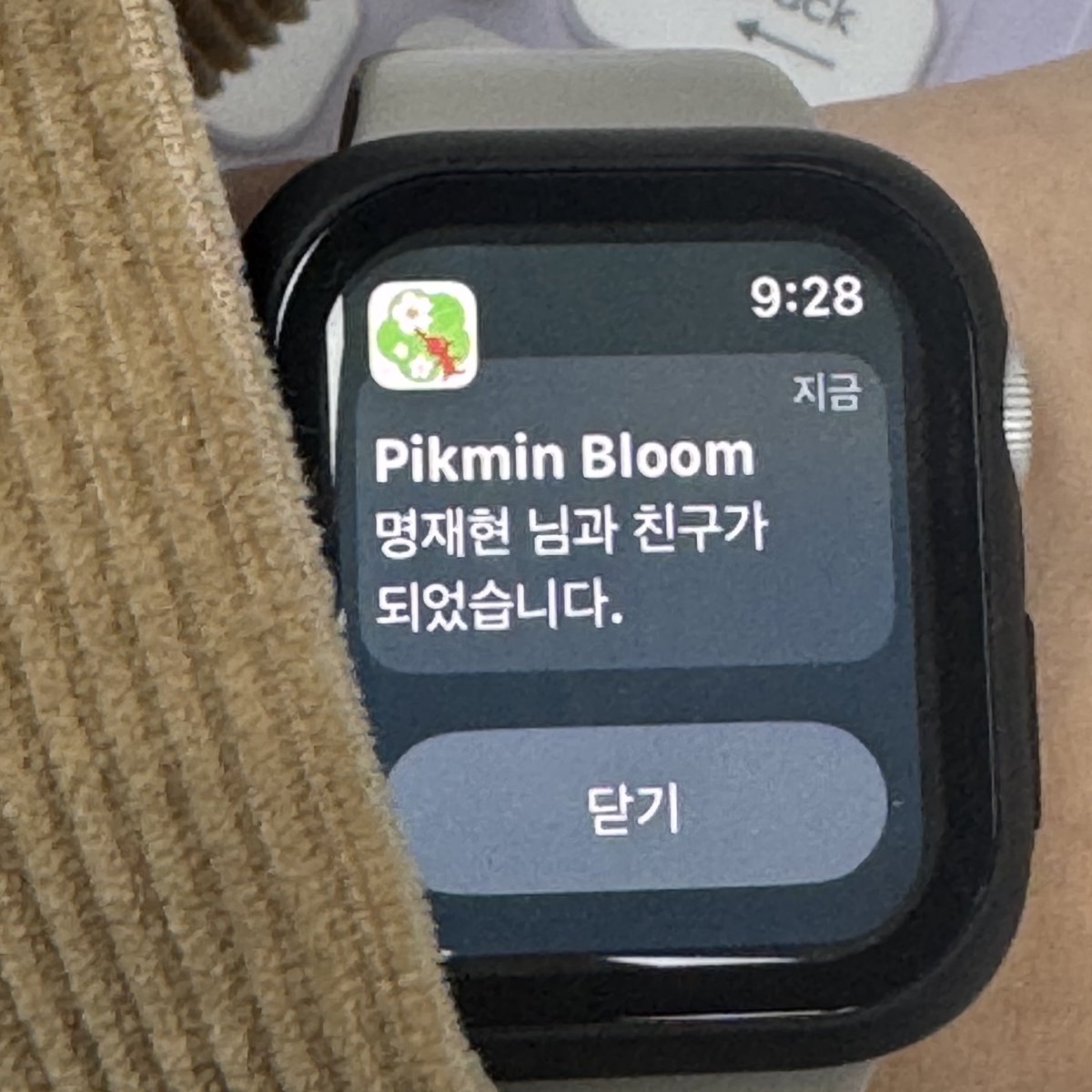 prozzaacc's tweet photo. 재현이랑친구됨 https://t.co/tNBIzls0ve