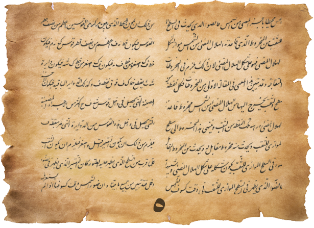 محمد الحاشدي tweet media
