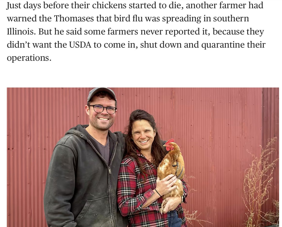 So it turns out producers are already not reporting avian influenza outbreaks at poultry facilities. 

"Just days before their chickens started to die, another farmer had warned the Thomases that bird flu was spreading in southern Illinois. But he said some farmers never reported