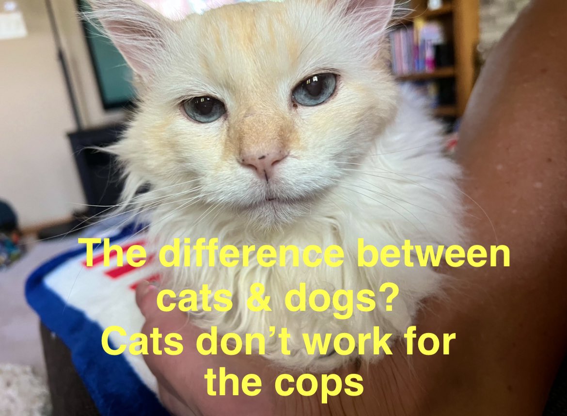 🐛🌷Dean🪴🦋 (@itsmedeaner) on Twitter photo 