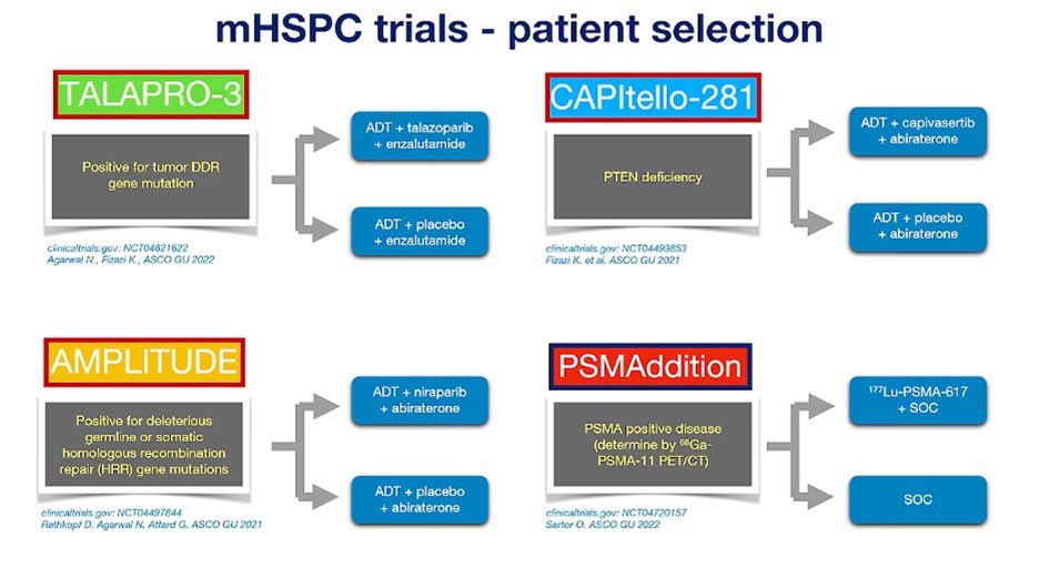 RenoHemonc's tweet photo. @OncBrothers @AlanBryce9 @CancerNetwrk @cityofhope @DrKarineTawagi @BijoyTelivala @dr_yakupergun @DrYukselUrun @MikeSerzanMD @sophia_kamran @nataliagandur @crisbergerot Need better pt selection in mHSPC https://t.co/IsiDpxVo0g