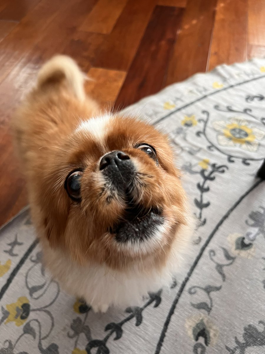 Jean Harron tweet media