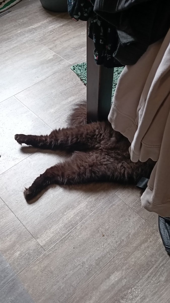 Crumble 📸 tweet media