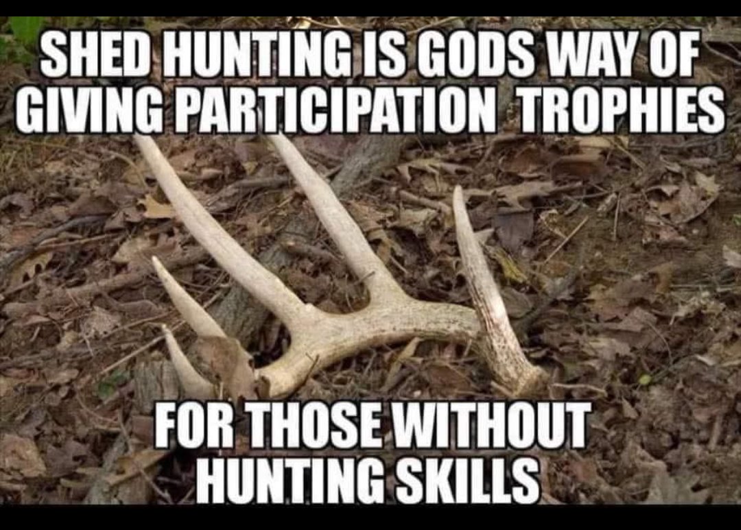 🦌Rusty 🇺🇲 tweet media