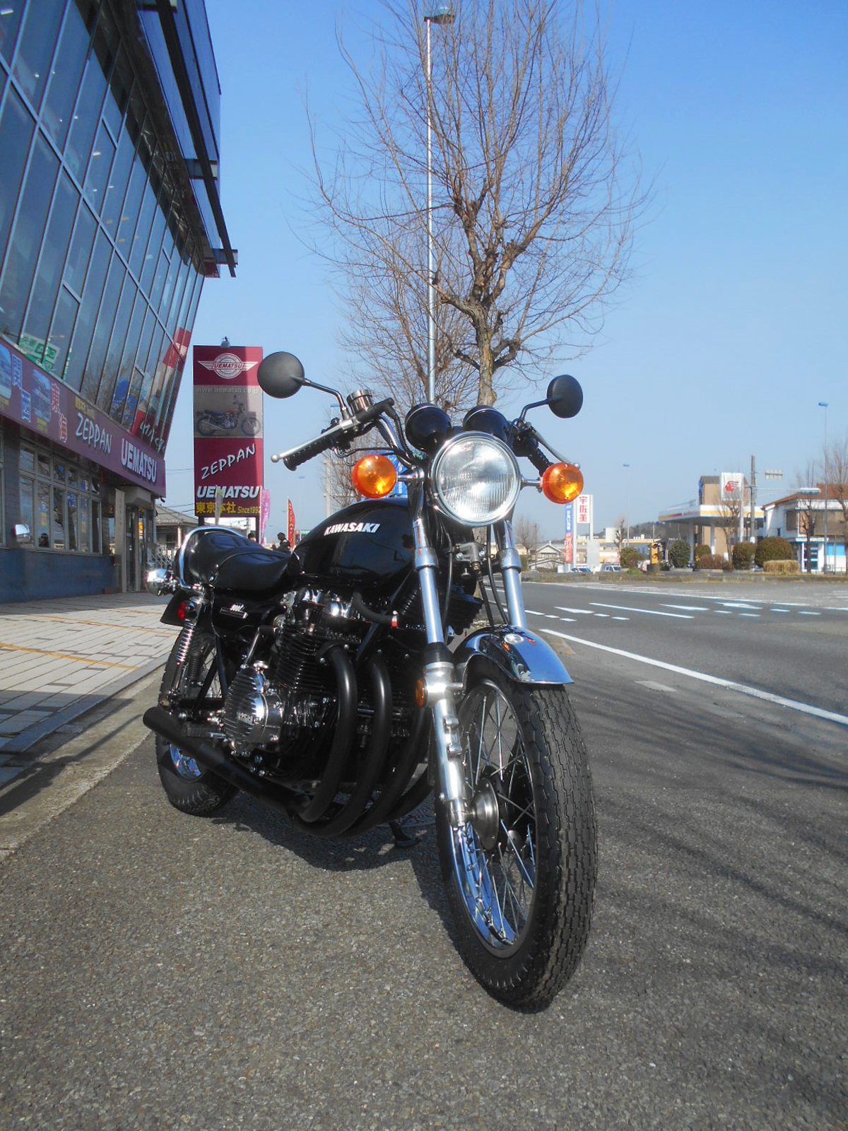 ハヤシキャストタイプZ750D1KZ1000 A2 kz1000mk2